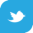 icon twitter